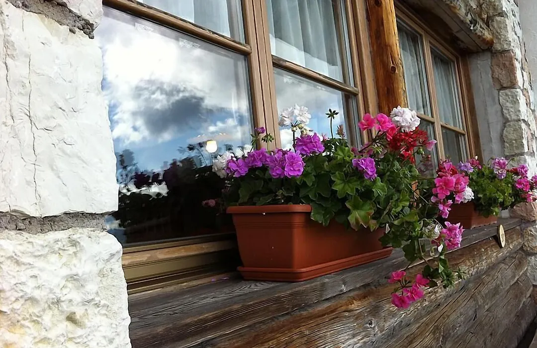 Aparthotel Wellness Villa di Bosco-1